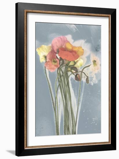 Poppy Spray III-Jennifer Goldberger-Framed Art Print