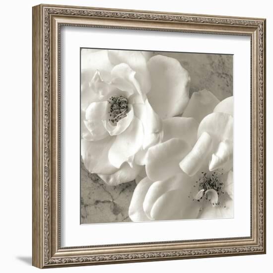 Poppy Study III-Sondra Wampler-Framed Art Print