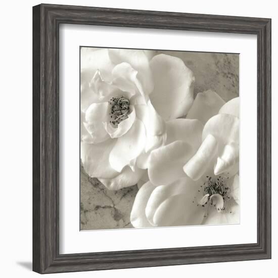 Poppy Study III-Sondra Wampler-Framed Art Print