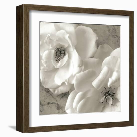 Poppy Study III-Sondra Wampler-Framed Art Print