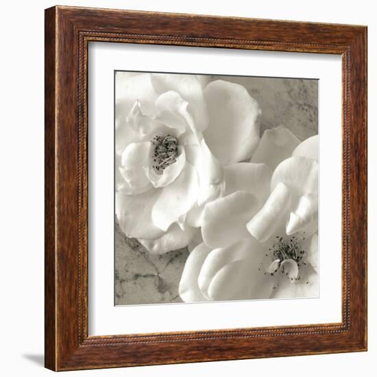 Poppy Study III-Sondra Wampler-Framed Art Print