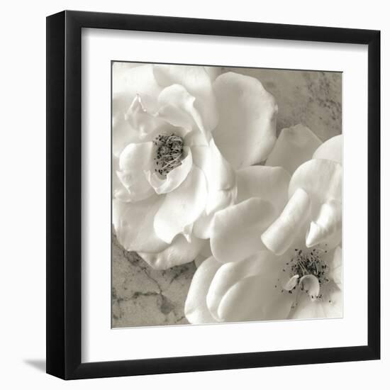 Poppy Study III-Sondra Wampler-Framed Art Print