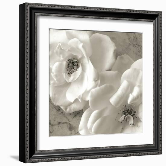 Poppy Study III-Sondra Wampler-Framed Art Print