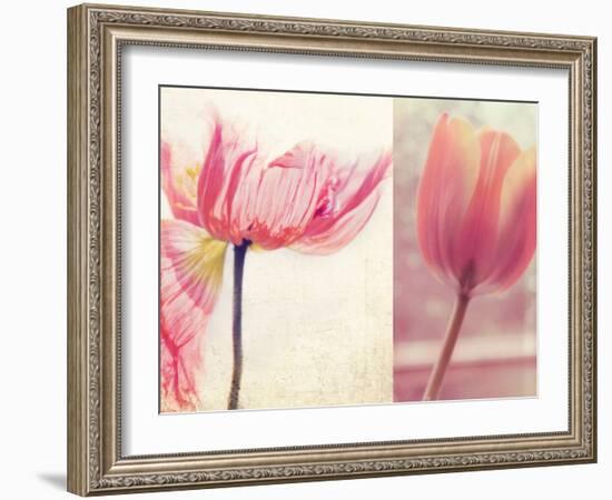 Poppy & Tulip-Myan Soffia-Framed Photographic Print