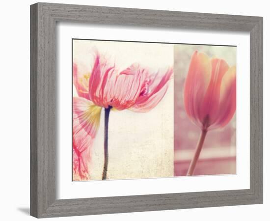 Poppy & Tulip-Myan Soffia-Framed Photographic Print