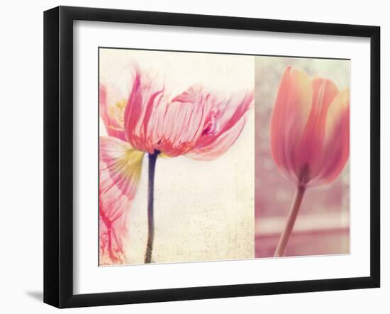 Poppy & Tulip-Myan Soffia-Framed Photographic Print