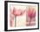 Poppy & Tulip-Myan Soffia-Framed Photographic Print