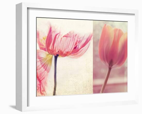 Poppy & Tulip-Myan Soffia-Framed Photographic Print
