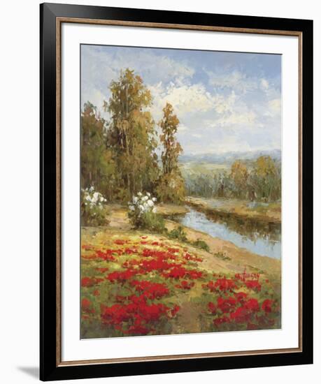 Poppy Vista I-Hulsey-Framed Art Print