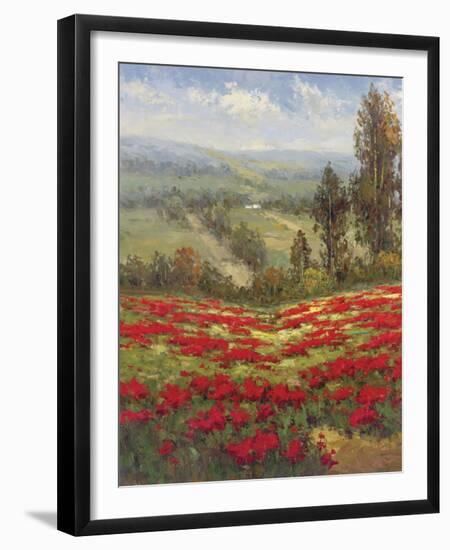 Poppy Vista II-Hulsey-Framed Art Print