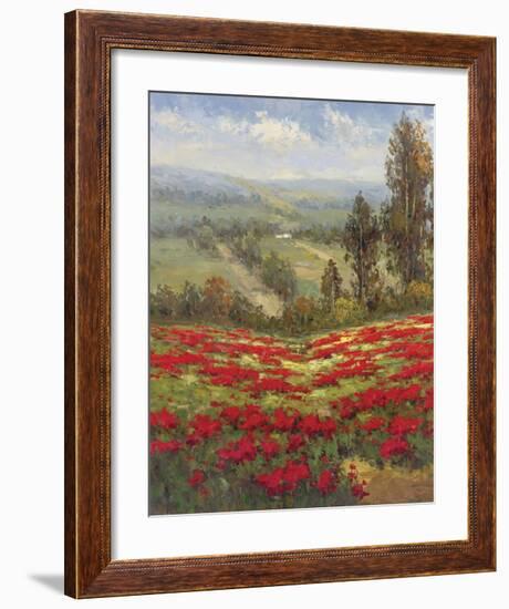 Poppy Vista II-Hulsey-Framed Art Print