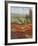 Poppy Vista II-Hulsey-Framed Art Print