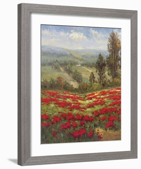 Poppy Vista II-Hulsey-Framed Art Print