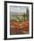 Poppy Vista II-Hulsey-Framed Art Print