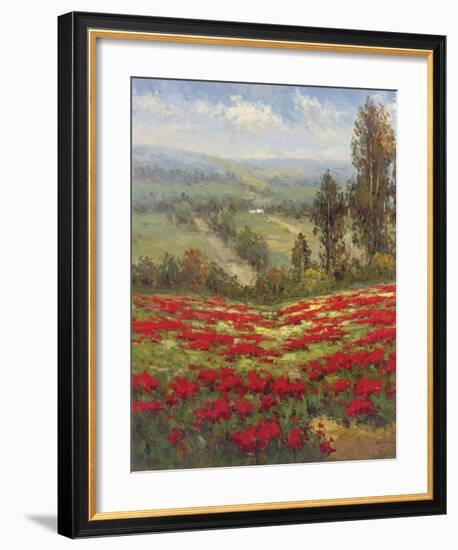 Poppy Vista II-Hulsey-Framed Art Print