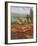 Poppy Vista II-Hulsey-Framed Art Print