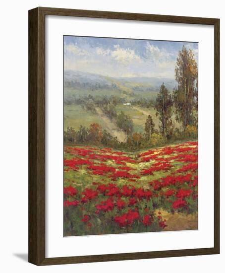 Poppy Vista II-Hulsey-Framed Art Print