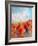 Poppy Walk-Claire Hardy-Framed Art Print