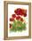 Poppy Whimsy IV-Cheryl Baynes-Framed Stretched Canvas