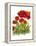 Poppy Whimsy IV-Cheryl Baynes-Framed Stretched Canvas