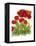 Poppy Whimsy IV-Cheryl Baynes-Framed Stretched Canvas