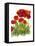 Poppy Whimsy IV-Cheryl Baynes-Framed Stretched Canvas