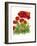 Poppy Whimsy IV-Cheryl Baynes-Framed Premium Giclee Print