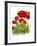 Poppy Whimsy IV-Cheryl Baynes-Framed Art Print