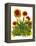 Poppy Whimsy V-Cheryl Baynes-Framed Stretched Canvas