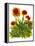 Poppy Whimsy V-Cheryl Baynes-Framed Stretched Canvas