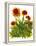 Poppy Whimsy V-Cheryl Baynes-Framed Stretched Canvas