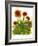 Poppy Whimsy V-Cheryl Baynes-Framed Art Print