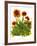 Poppy Whimsy V-Cheryl Baynes-Framed Art Print