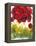 Poppy Whimsy VI-Cheryl Baynes-Framed Stretched Canvas