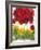 Poppy Whimsy VI-Cheryl Baynes-Framed Art Print