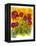 Poppy Whimsy VIII-Cheryl Baynes-Framed Stretched Canvas