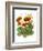 Poppy Whismy VII-Cheryl Baynes-Framed Art Print