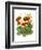 Poppy Whismy VII-Cheryl Baynes-Framed Art Print