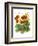 Poppy Whismy VII-Cheryl Baynes-Framed Art Print