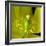 Poppy Yellow-Magda Indigo-Framed Photographic Print