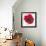 Poppy-Emma Forrester-Framed Giclee Print displayed on a wall