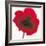 Poppy-Emma Forrester-Framed Giclee Print