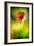 Poppy-Ursula Abresch-Framed Photographic Print