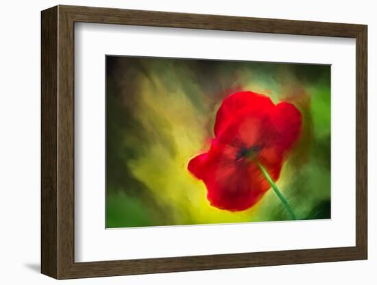 Poppy-Ursula Abresch-Framed Photographic Print