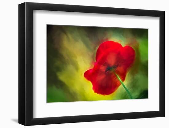 Poppy-Ursula Abresch-Framed Photographic Print