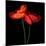 poppy-Magda Indigo-Mounted Photographic Print