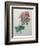 Poppy-Pierre-Joseph Redoute-Framed Art Print