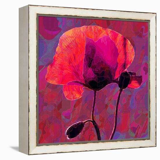 Poppy-Scott J. Davis-Framed Premier Image Canvas