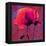 Poppy-Scott J. Davis-Framed Premier Image Canvas