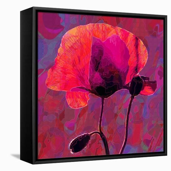 Poppy-Scott J. Davis-Framed Premier Image Canvas